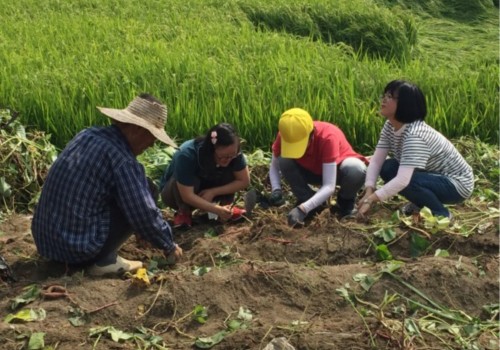 [직업지원] 직업적응훈련생 1차 산업(농업) 현장실습 진행